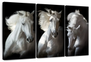 Three White Horses Wall Art Three White Horses Wall Art