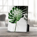 Tropical Leaf A Desktop Canvas Tropical Leaf A Desktop Canvas