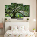 Audubon Park Oak Tree Wall Art Audubon Park Oak Tree Wall Art