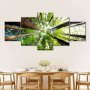 Ancient California Redwood Wall Art Ancient California Redwood Wall Art