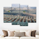 Tequila Jalisco Agave Field Wall Art Tequila Jalisco Agave Field Wall Art