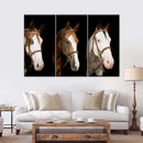 American Paint Horses Wall Art American Paint Horses Wall Art