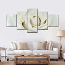 White Rose Close Up Wall Art White Rose Close Up Wall Art