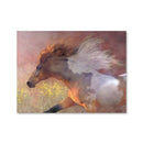 Twilight Run Canvas Twilight Run Canvas