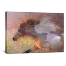 Twilight Run Canvas Twilight Run Canvas