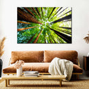Ancient California Redwood Wall Art Ancient California Redwood Wall Art