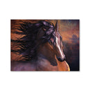 Untamed Canvas Untamed Canvas