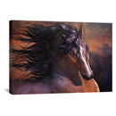 Untamed Canvas Untamed Canvas