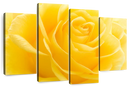 Yellow Rose Petals Wall Art Yellow Rose Petals Wall Art