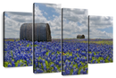 Texas Bluebonnets Wall Art Texas Bluebonnets Wall Art