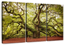 Charleston Angel Oak Tree Wall Art Charleston Angel Oak Tree Wall Art