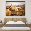 Warm Tones Highland Cow Canvas Warm Tones Highland Cow Canvas