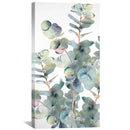 Whispering Eucalyptus Canvas Whispering Eucalyptus Canvas