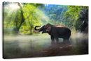 Wild Elephant Wall Art Wild Elephant Wall Art