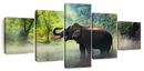 Wild Elephant Wall Art Wild Elephant Wall Art