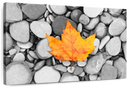 Autumn Leaf Wall Art Autumn Leaf Wall Art