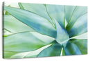 Agave Leaves Wall Art Agave Leaves Wall Art