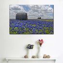 Texas Bluebonnets Wall Art Texas Bluebonnets Wall Art