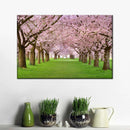 Cherry Blossom Trees Wall Art Cherry Blossom Trees Wall Art