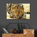 Blue Eyed Jaguar Wall Art Blue Eyed Jaguar Wall Art