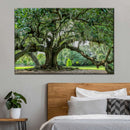 Audubon Park Oak Tree Wall Art Audubon Park Oak Tree Wall Art