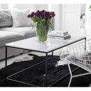 Carrara white marble coffee table 16x32 black paint legs SKU-MSCW24x48WP Room scene of coffee table Carrara white marble coffee table 16x32 black paint legs SKU-MSCW24x48WP Room scene of coffee table