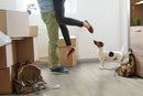 MSI-smithcliffs-driftway-hybrid-rigitcore-vinyl-flooring-click-lock-VTLDRIFTW7X48-10MM-LVT-3 MSI-smithcliffs-driftway-hybrid-rigitcore-vinyl-flooring-click-lock-VTLDRIFTW7X48-10MM-LVT-3