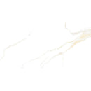 Anka classic carrara glossy unrectified porcelain wall and floor tile size 12"x24" SKU-170050 Anka classic carrara glossy unrectified porcelain wall and floor tile size 12"x24" SKU-170050
