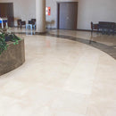 Light Pearl Beige Marble Floor and Wall Tile Polished 18"x18" Light Pearl Beige Marble Floor and Wall Tile Polished 18"x18"