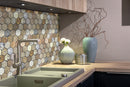Scabos Travertine 2" Hexagon on 12" x 12" Mesh Mosaic Tile Scabos Travertine 2" Hexagon on 12" x 12" Mesh Mosaic Tile