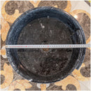 natural stone black marble special design vessel sink surface polished size (D)16" (H)6" (diameter 40.6cm height 15cm) SKU-NTRVS29 product shot diameter measure natural stone black marble special design vessel sink surface polished size (D)16" (H)6" (diameter 40.6cm height 15cm) SKU-NTRVS29 product shot diameter measure