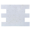 Shell Stone White Limestone Tiles Floor and Wall Tile Shell Stone White Limestone Tiles Floor and Wall Tile
