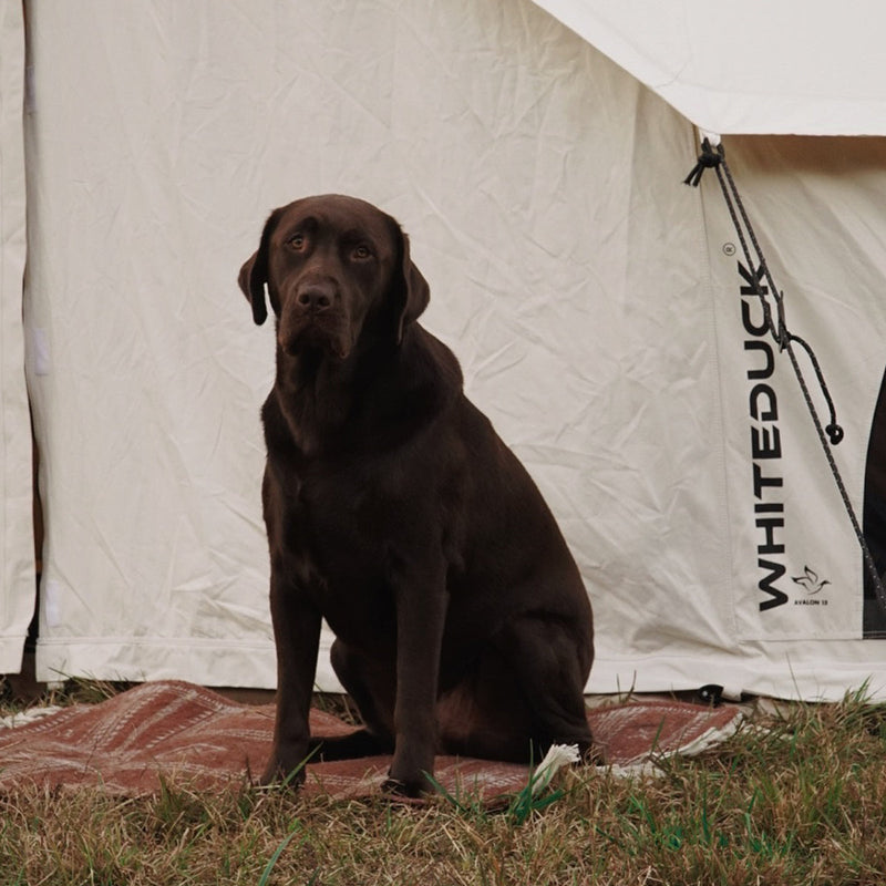 13' Avalon Bell Tent