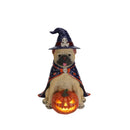 Halloween Bulldog Witch Statue, LED Light Up Jack-O-Lantern Pumpkin