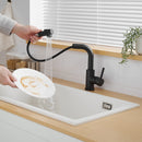 Black Kitchen Sink Faucet with Pull Down Sprayer