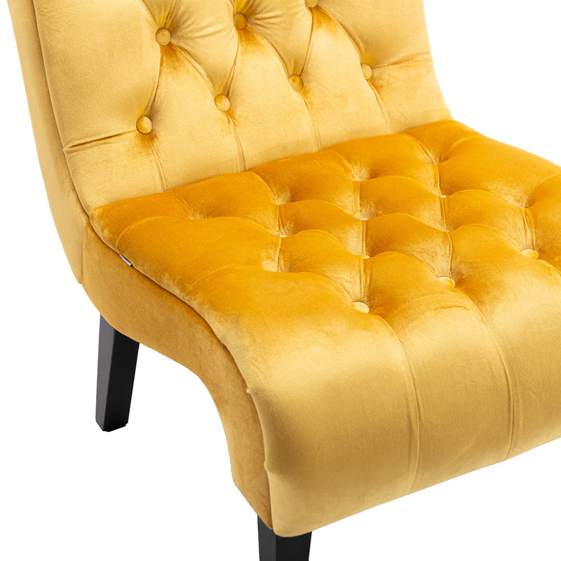 Accent Living Room Chair / Leisure Chair