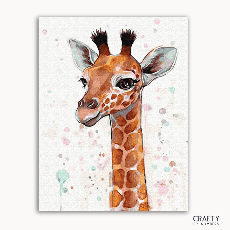 Baby Giraffe