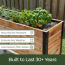 18" x 24" Planter Box - 24" TALL / Select Grade
