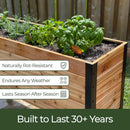 18″ x 18″ Planter Box - 24" TALL / Select Grade by Cedar Planters