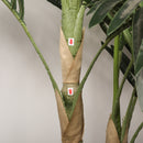 6FT Artificial Golden Cane Palm Tree with Black Pot
