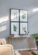 Botanical And Fern Wall Art, Wall Decor For Living Room Dining Room Entryway (Set of 4) - White / Black by HouseOfZazla
