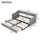 Upholstered Daybed With 2 Drawers by HouseOfZazla