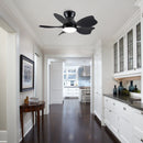 Low Profile Flush Mount Ceiling Fan With Light