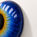 Solar Iris by Interior Moderna