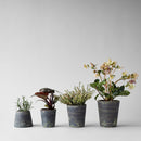 Terra Cotta Basic Planter, Grey Patina