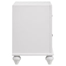 Barzini - 2 Drawer Nightstand Storage - White