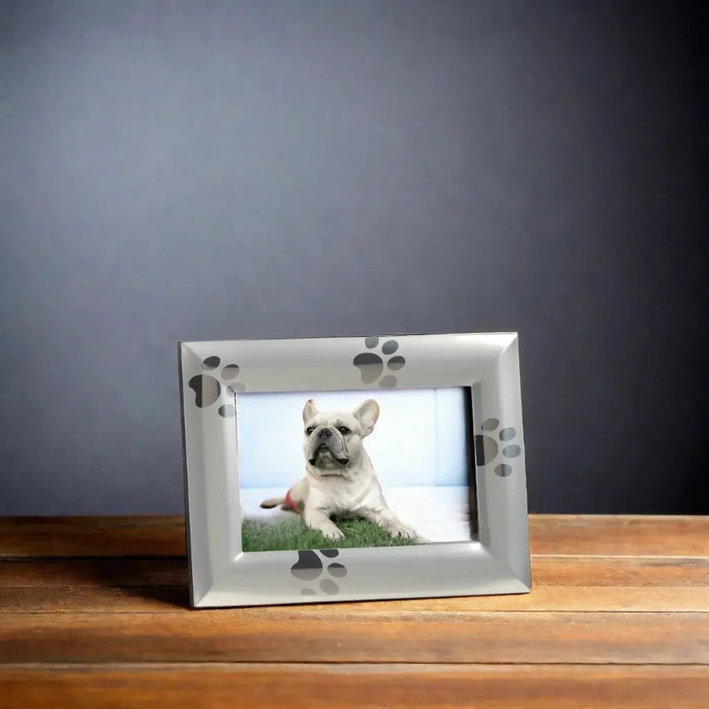 Paw Print Design Frame - 4x6, installed in a room