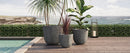 U_STYLE Lightweight MGO Planter Set of 3 by HouseOfZazla