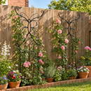 Butterfly Garden Trellis for Climbing Plants