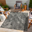 Sunshine - 5'3" X 7'3" Indoor & Outdoor Area Rug - Anthracite by HouseOfZazla
